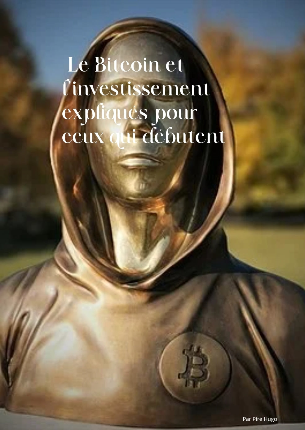 Bitcoin et investissement-Comprendre et Agir Facilement (13 pages)