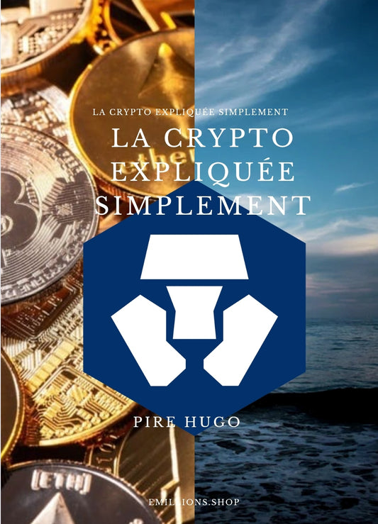 Comprendre les cryptomonnaie - La base expliquée simplement (13pages )